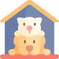 Pet Care and Management