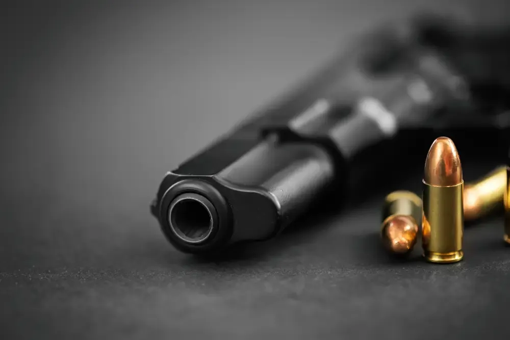 Firearm Safety Course