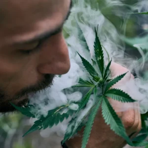 THC-Marijuana Awareness Class - 8 Hours