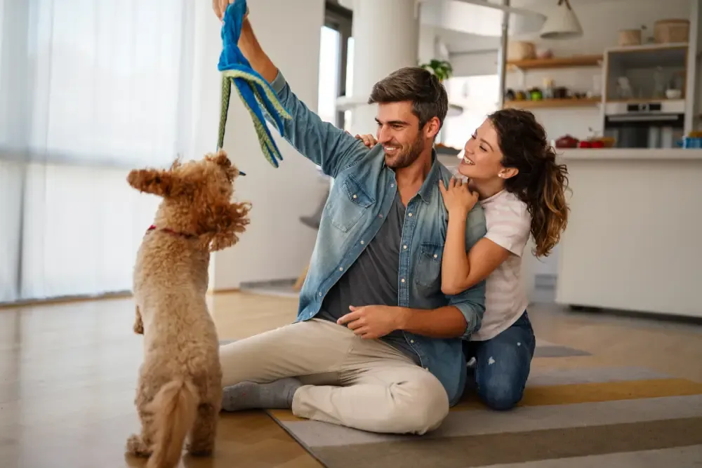 Responsible Pet Ownership Course